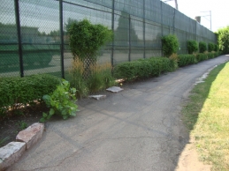 Fencing for Plants
