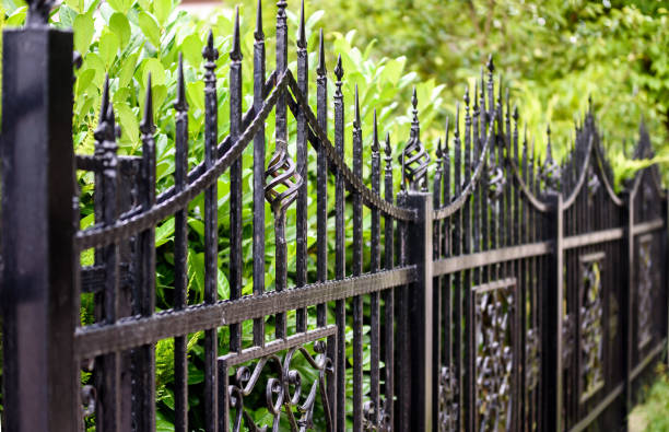 Wrought iron fence with bushes behind it