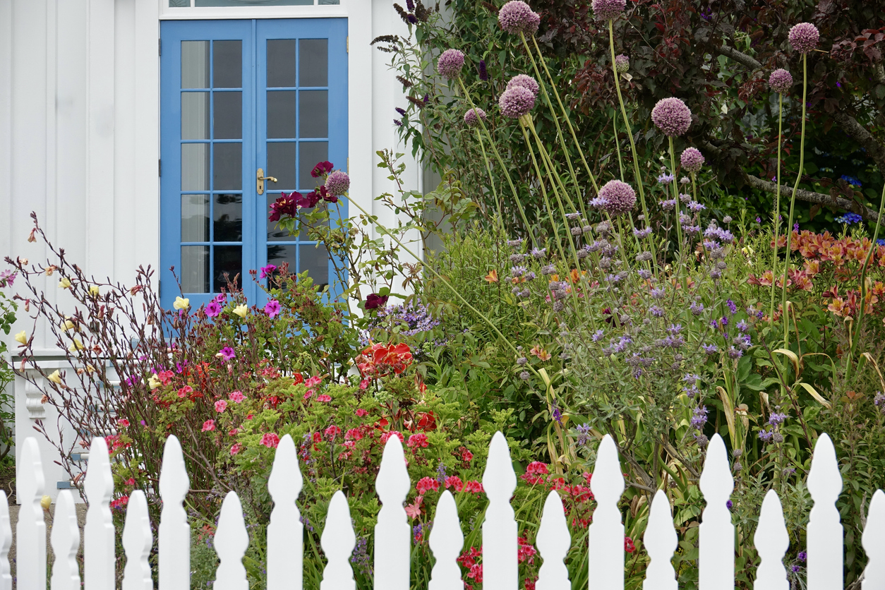 A white picket fence bordering a lush garden with an abundance of blooming flowers. Blue French doors leading into the home appear in the background.
